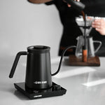 Assassin electric pour over kettle 220v-1200w-600ml-CN-black - MHW-3BOMBER